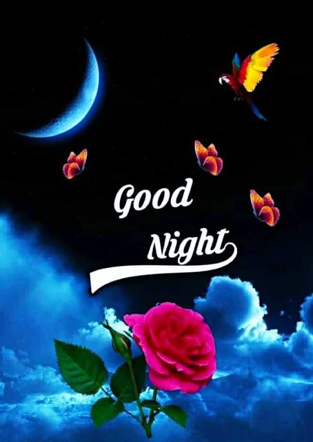 Good night x family