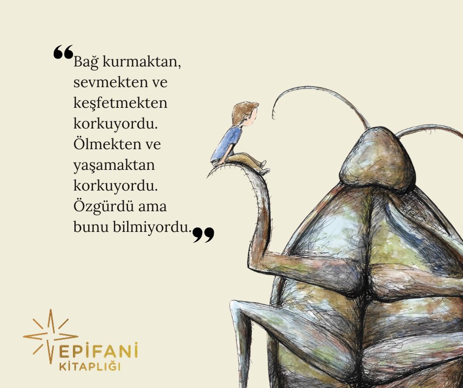 Epifani Kitaplığı’nın ilk kitabı olarak raflarda yerini alan bu özel eser, minimalist metinleri ve etkileyici illüstrasyonlarıyla size şunu fısıldıyor:  “Acının içinde bile güzellik var. Hayat, ona nasıl baktığınla şekillenir.”

Hamamböceğine dokunmak kimi zaman rahatsız edici,