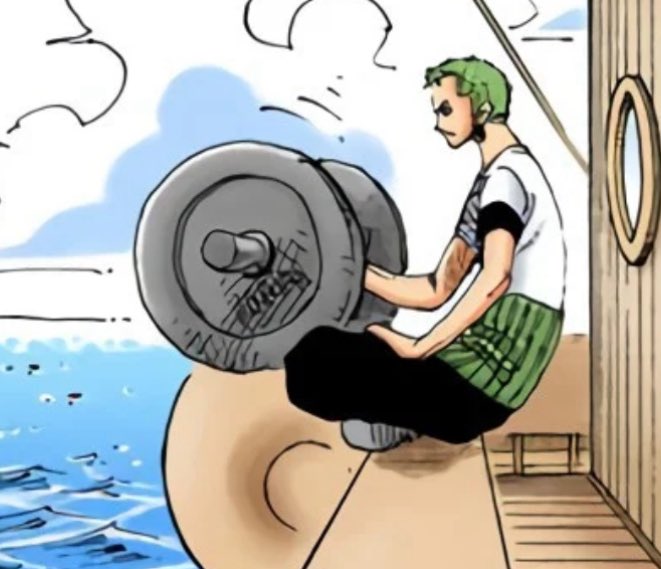zoro whenever he's bored