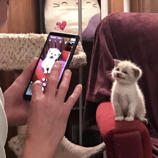 lena (@lenaonfilm) on Twitter photo 