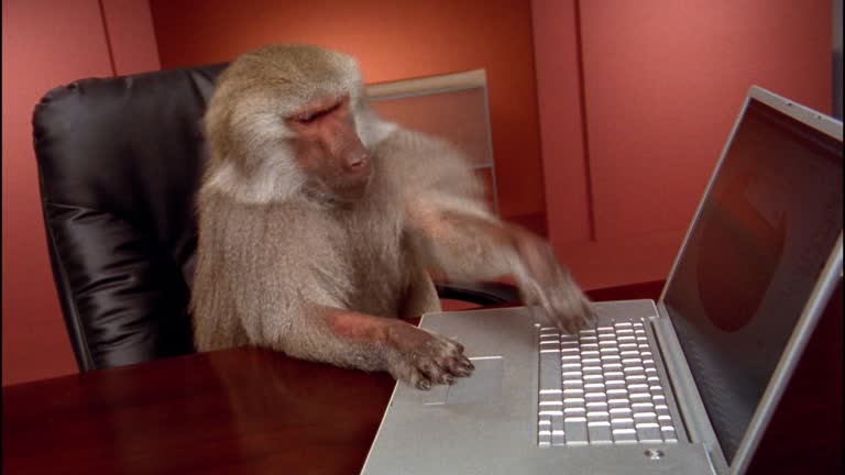 TheMemerNeha's tweet image. #itrduedateextension #ITRfiling

Nobody.
My CA friend today