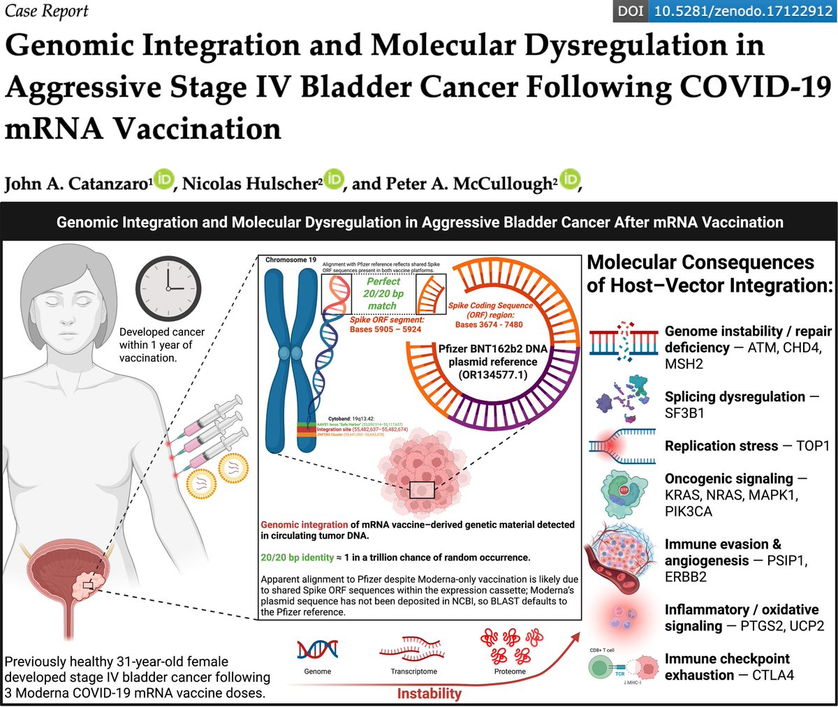 一份题为“COVID-19 mRNA 疫苗接种后侵袭性 IV 期膀胱癌的基因组整合和分子失调”的病例报告文件，其中详细介绍了 John A. Catanzaro、Nicolas Hulscher 和 Peter A. McCullough 的研究。圆形图表显示了包括宿主-载体整合、基因组不稳定性和剪接失调在内的分子后果。一位手持时钟和注射器的女性剪影描绘了疫苗接种一年内的时间线。文字叠加包含“KRAS、NRAS、MAP3K1”和“免疫逃逸”等科学术语。
