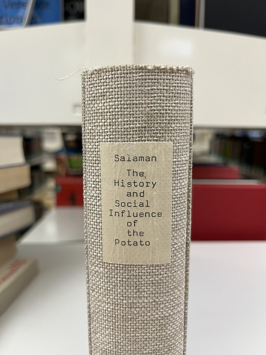 Was für ein grandioser Buchtitel 😅