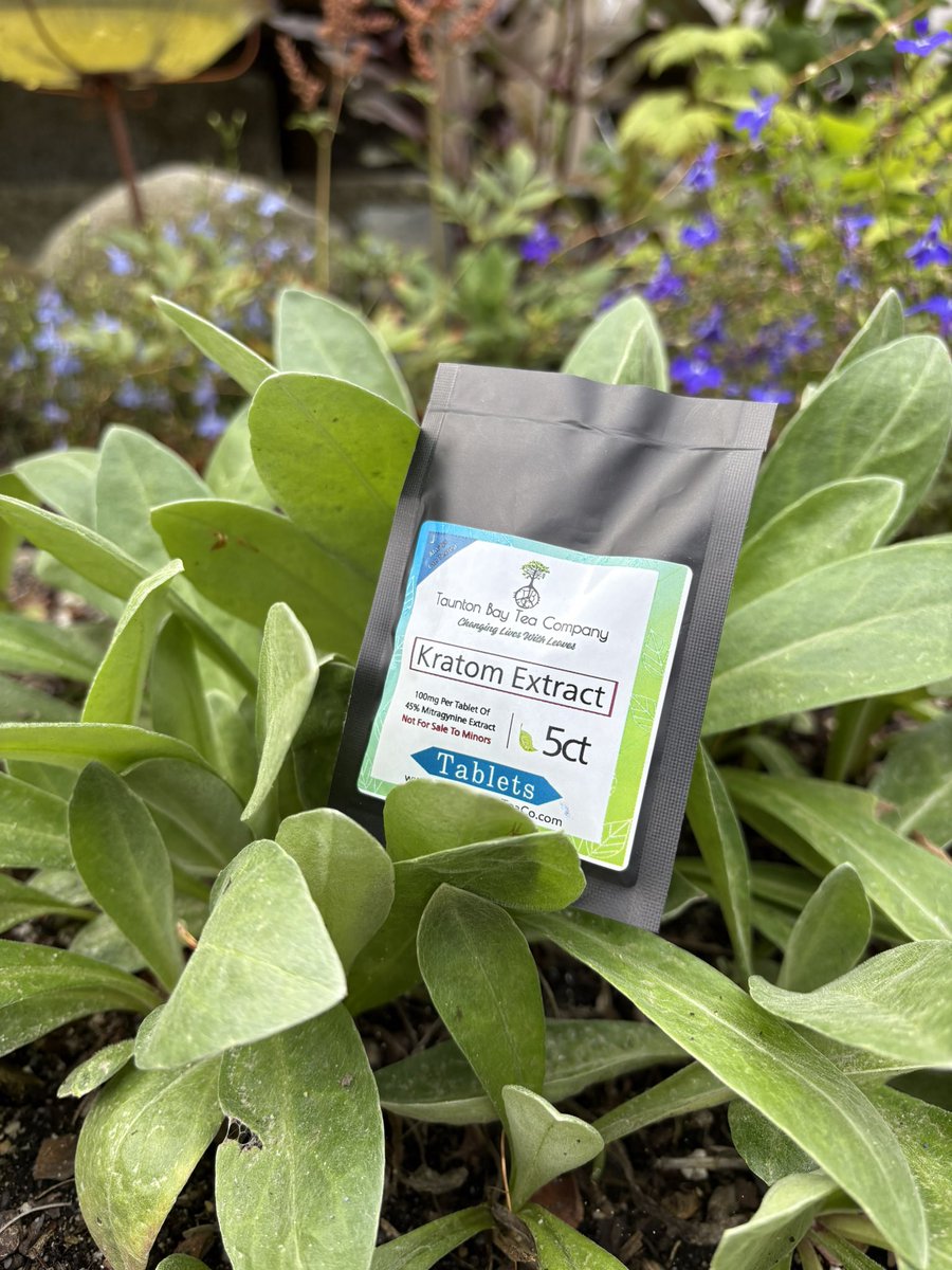 TauntonKratom's tweet image. Happy Monday ๐โจ Check out our Kratom Extract Tablets, made with MIT-focused Extract. 
TauntonBayTeaCo.com or 207-422-2895 for a phone order & customer service ๐ต
#TauntonBayKratom #Kratom #LabTested #KratomExtract #KratomTablets