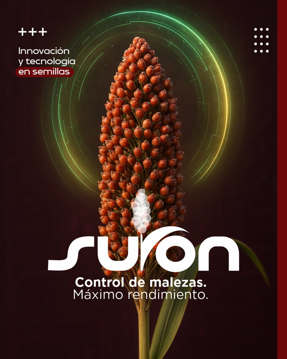 ¿Por qué elegir SURON?
Porque no es una opción más, es la tecnología que cambia las reglas en el sorgo.
Con su tolerancia combinada a Imidazolinonas (IMI) y Sulfonilureas (SU), SURON te da:
✅ Mayor control de malezas
✅ Mejor manejo de resistencias
✅ Más libertad en la rotación