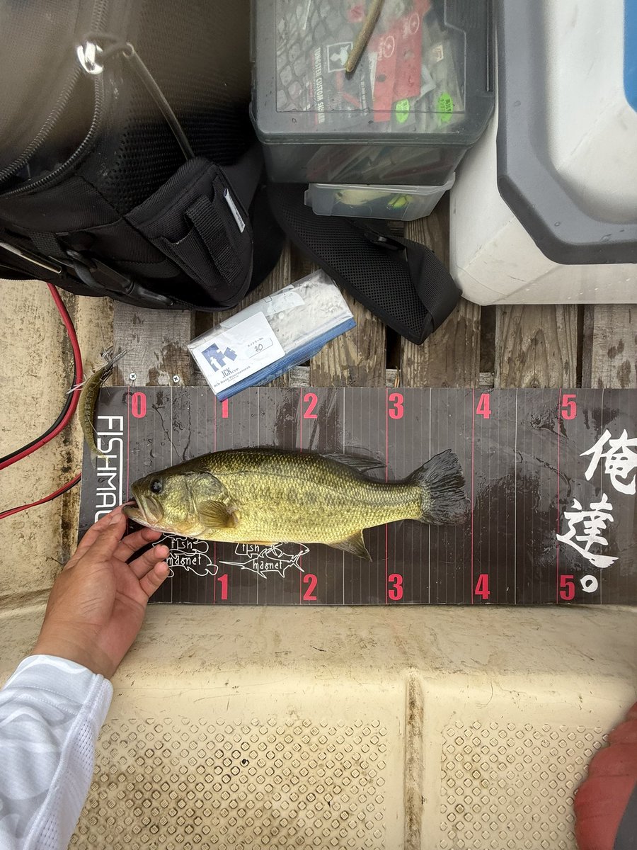 キャッチミーです Multiverse Ⅱ / Pink｜MIKIOSAKABE&JennyFax公式ストア – MIKIOSAKABE