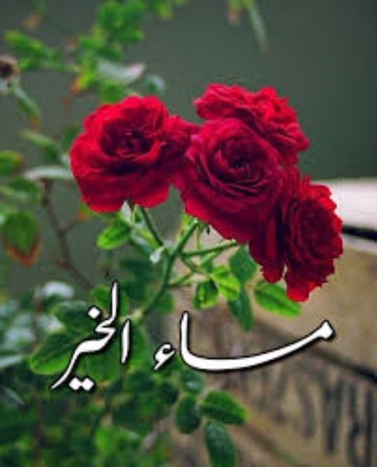#بوح_lلخاطر 
اللهم مساء يضم السكينة والطمأنينة وراحة البال وجبر الخواطر. مساء الخير لكل الأشياء التي تصنع مساءات جميله بنبض قلوبهم 🕊