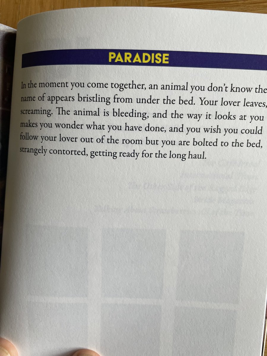 Ian Seed tweet media