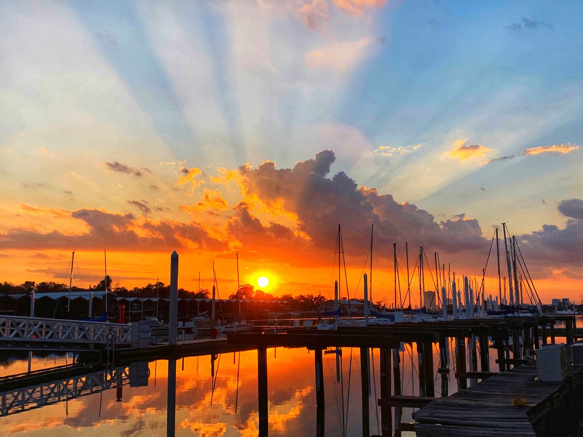 "The sun does not shine for a few trees and flowers, but for the wide world's joy." - Henry Ward Beecher 🌅