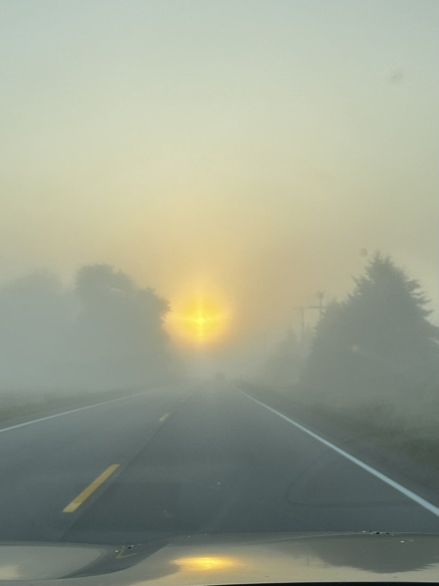 Monday, here we go! #foggy #buticanseeclearlynow