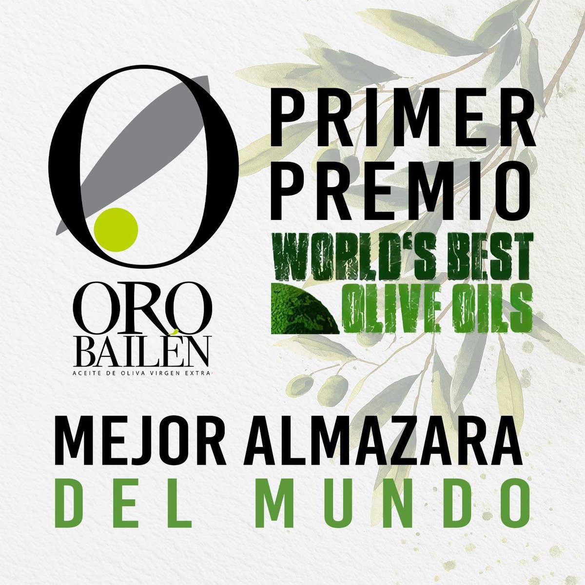 JaenFS's tweet photo. 🥇 ¡Enhorabuena a nuestro patrocinador, @OroBailen! 

👀 El prestigioso ranking World’s Best Olive Oils les ha otorgado 4 premios:

🏆 Mejor Almazara del Mundo
🏆 2ª Mejor Almazara Ecológica del Mundo
🏆 2º Mejor AOVE del Mundo
🏆 2º Mejor AOVE Ecológico del Mundo

#SomosJaén💛 https://t.co/DscQVkAvQm