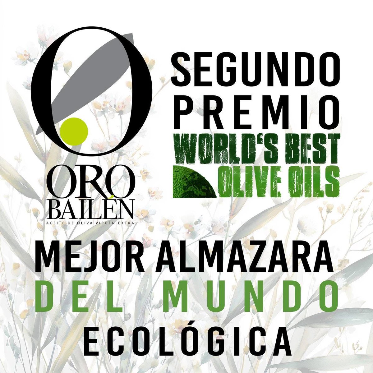 JaenFS's tweet photo. 🥇 ¡Enhorabuena a nuestro patrocinador, @OroBailen! 

👀 El prestigioso ranking World’s Best Olive Oils les ha otorgado 4 premios:

🏆 Mejor Almazara del Mundo
🏆 2ª Mejor Almazara Ecológica del Mundo
🏆 2º Mejor AOVE del Mundo
🏆 2º Mejor AOVE Ecológico del Mundo

#SomosJaén💛 https://t.co/DscQVkAvQm