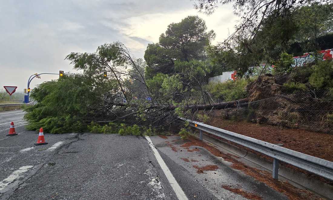 El #temporal deixa a #Cerdanyola danys materials però no personals.
Més informació a... tinyurl.com/59dwfkyx