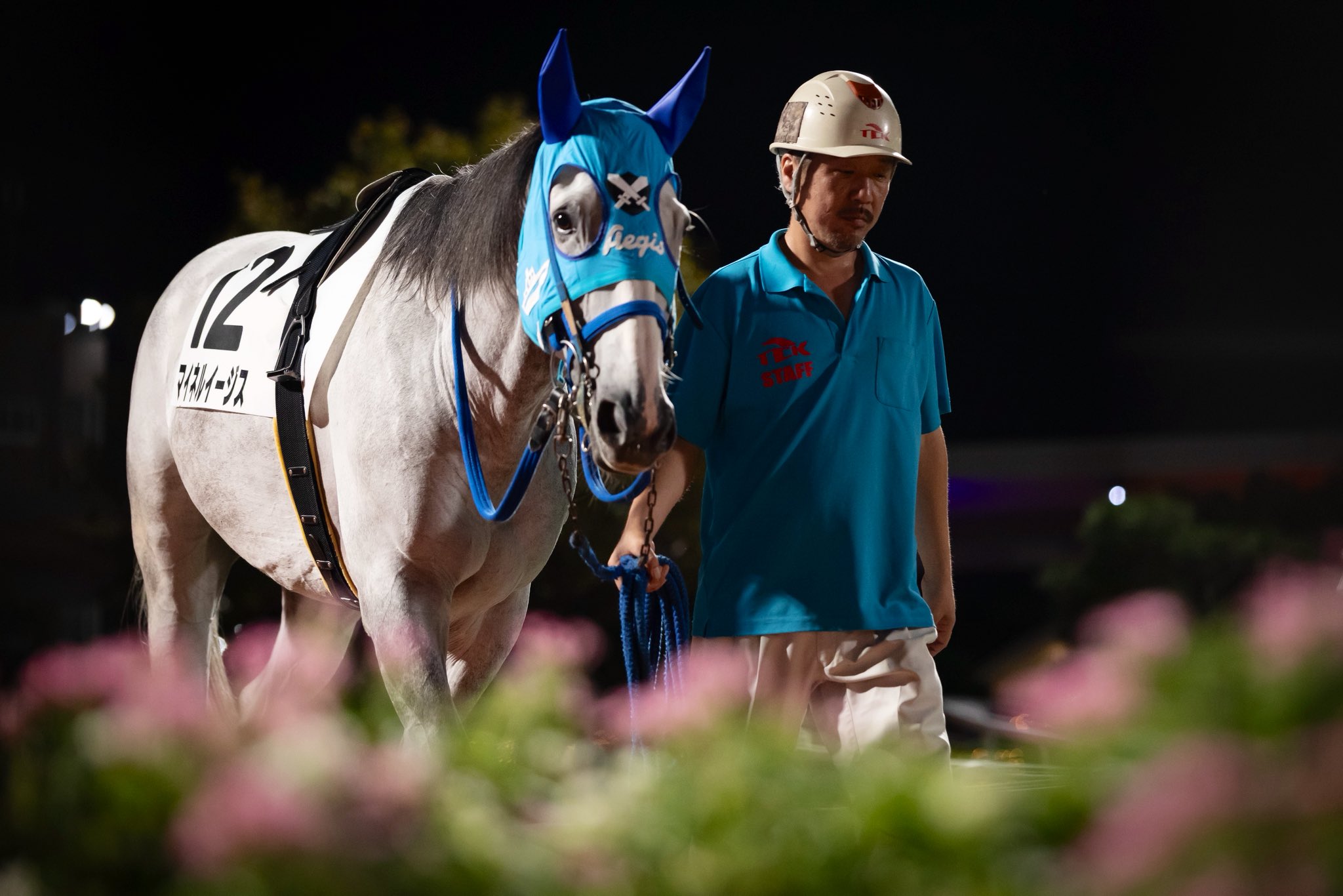 盗まれた馬 デンジャーマン Danger Man 牡 3歳 ※中央競馬 登録抹消