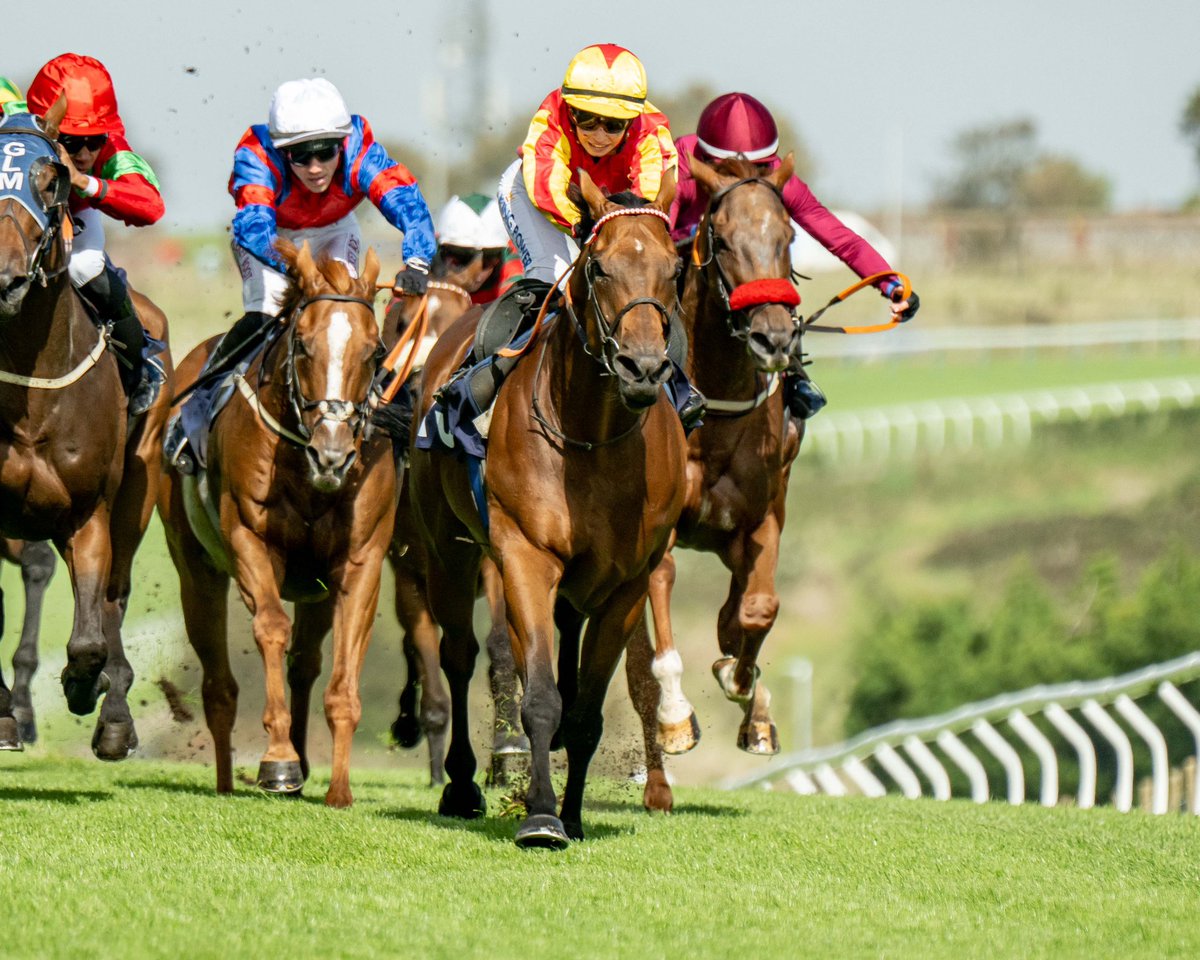 Brighton Racecourse tweet media