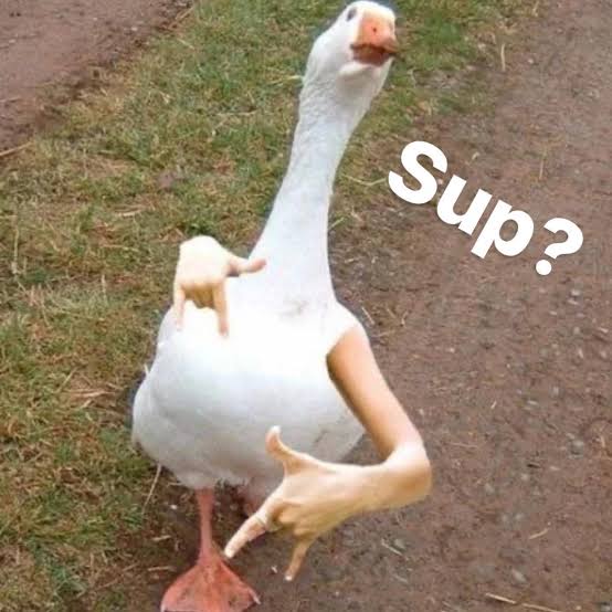 OraclesETH's tweet photo. Me after Quacks on @wallchain_xyz and see how better Algo works

• https://t.co/GFqIZ2K02B

The @wallchain_xyz x @apecoin campaign is redefining influence on X quality content earns $APE, multipliers reward ecosystem holders, and early participants can maximize mindshare. Are you ready to quack and join the leaderboard?