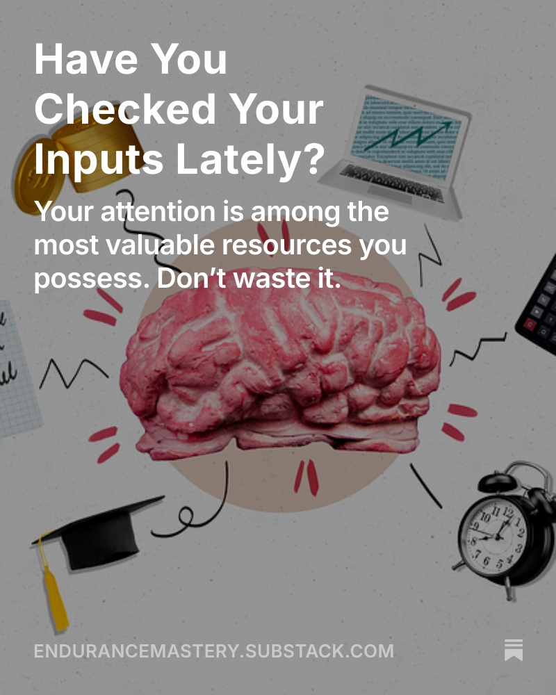 New Endurance Mastery Substack newsletter: "Have You Checked Your Inputs Lately?"

endurancemastery.substack.com/p/have-you-che…