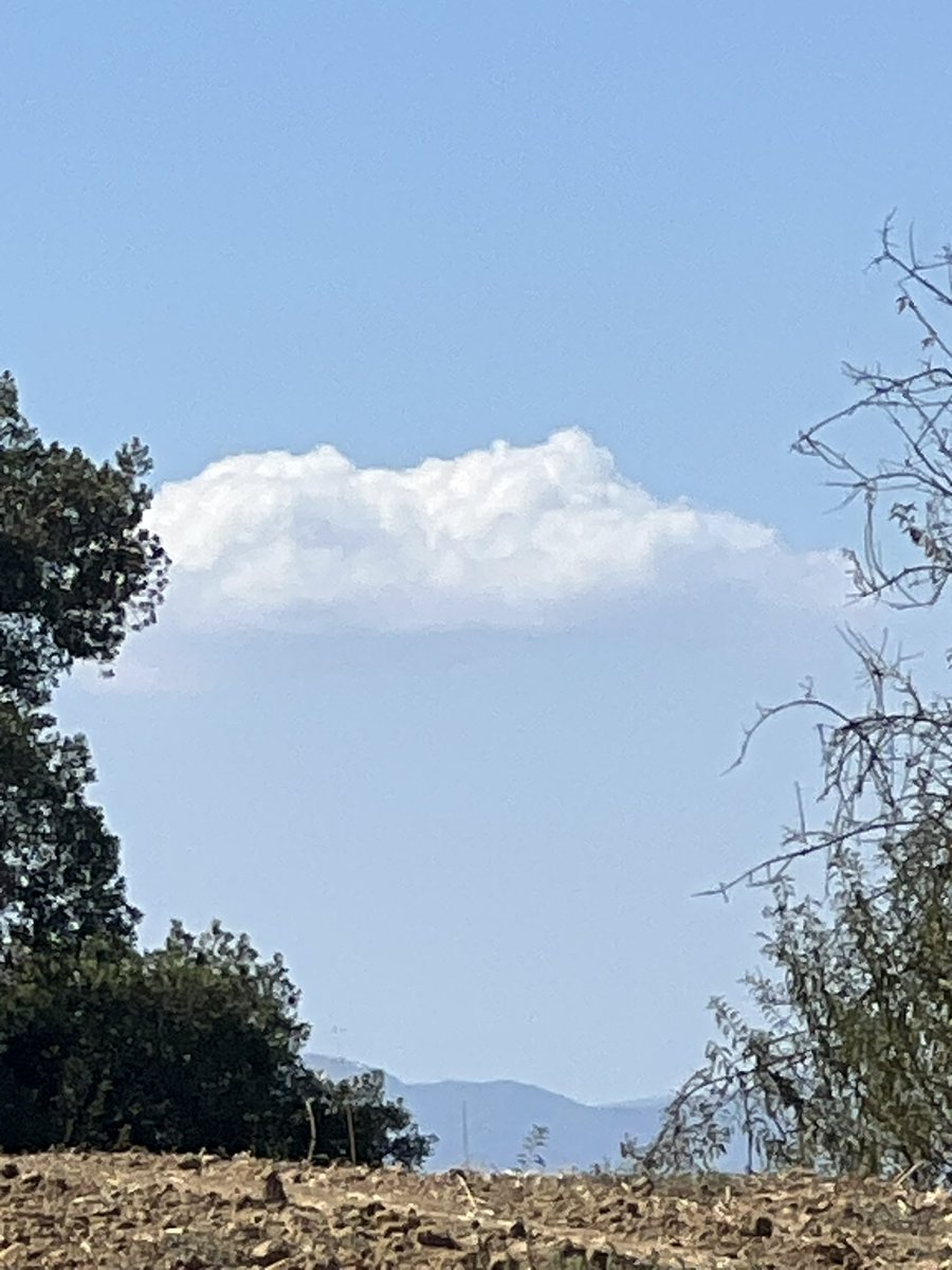 Nubes de desarrollo vertical sobre sierra de las nieves, habrá que ver como evolucionan. ⛈️