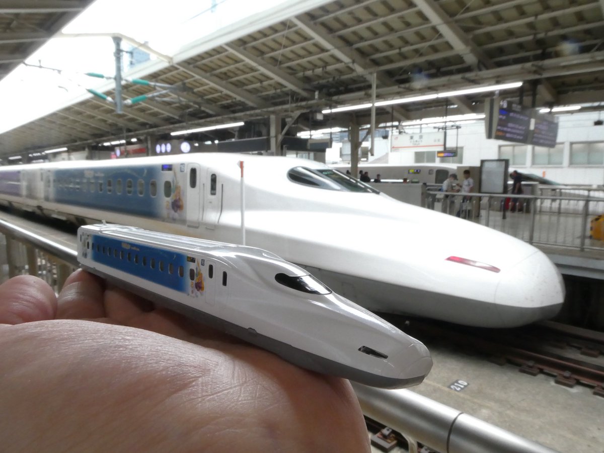 ムササビ様 ムササビ 原寸大頭骨レプリカ Japanese giant flying squirrel