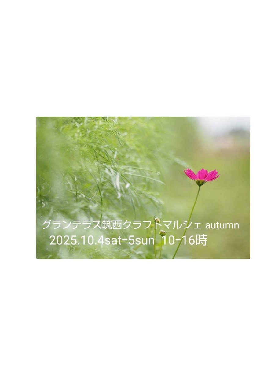 shizuocompany's tweet photo. \ 出展予定 / 

　『カグヤデマルシェ』
　▶︎9/21(日)10:00-15:00  
    ▶︎栃木市家具のKOMATSUYAさま店内
　
　『グランテラス筑西
　クラフトマルシェ autumn 』
　▶︎10/4(土)&amp;10/5(日)10:00-16:00 
    ▶︎道の駅グランテラス筑西  芝生広場 https://t.co/gjqVWXw8Hm