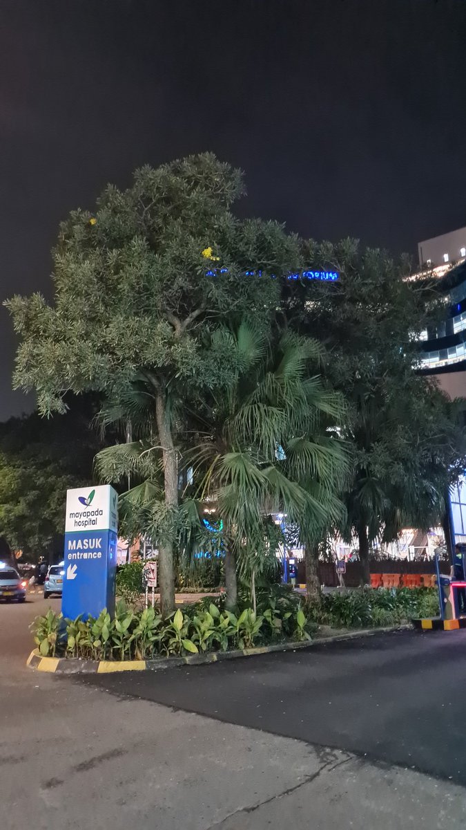 simaratin's tweet image. Tutorial ngabisin limit asuransi😌