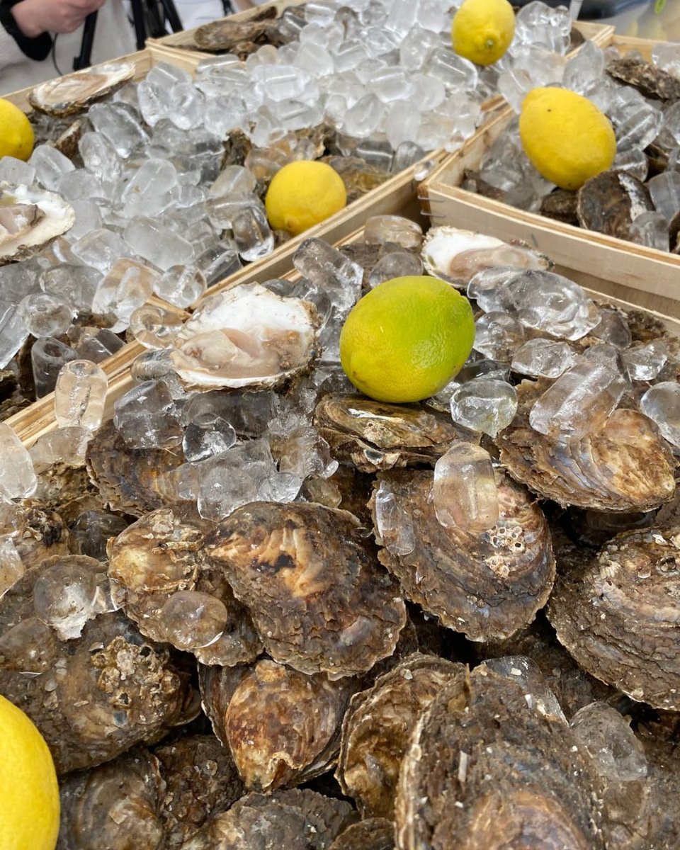RosemaryShrager's tweet photo. A few more photos from the Stranraer Oyster Festival.
Getting to see the lovely Matt Tebbutt, tasting so many delicious oysters, meeting the wonderful people at the event, and seeing the beautiful sights of this part of Scotland! #stranraeroysterfestival #oysterfest #stranraer https://t.co/JwIGYsnKsC