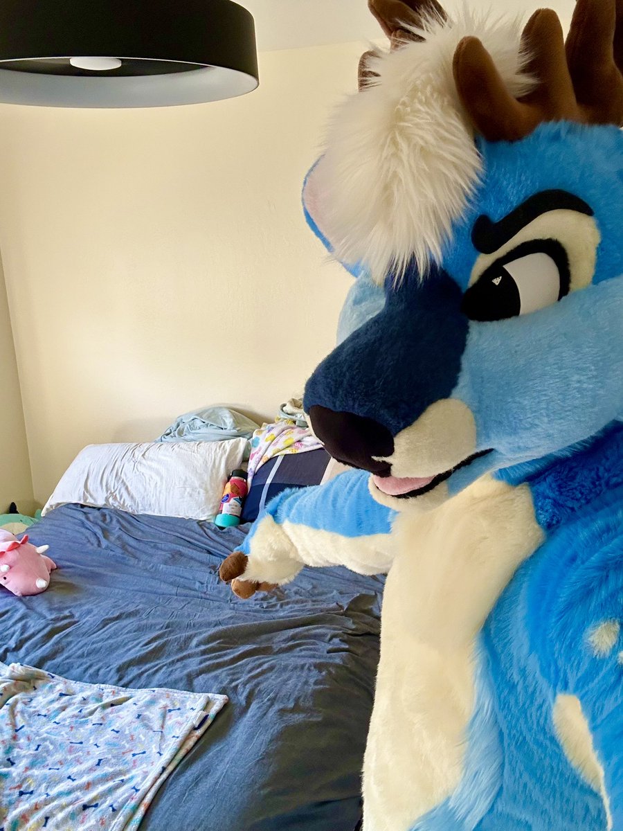 BLUEBERRY 🔜 MEGAPLEX tweet media