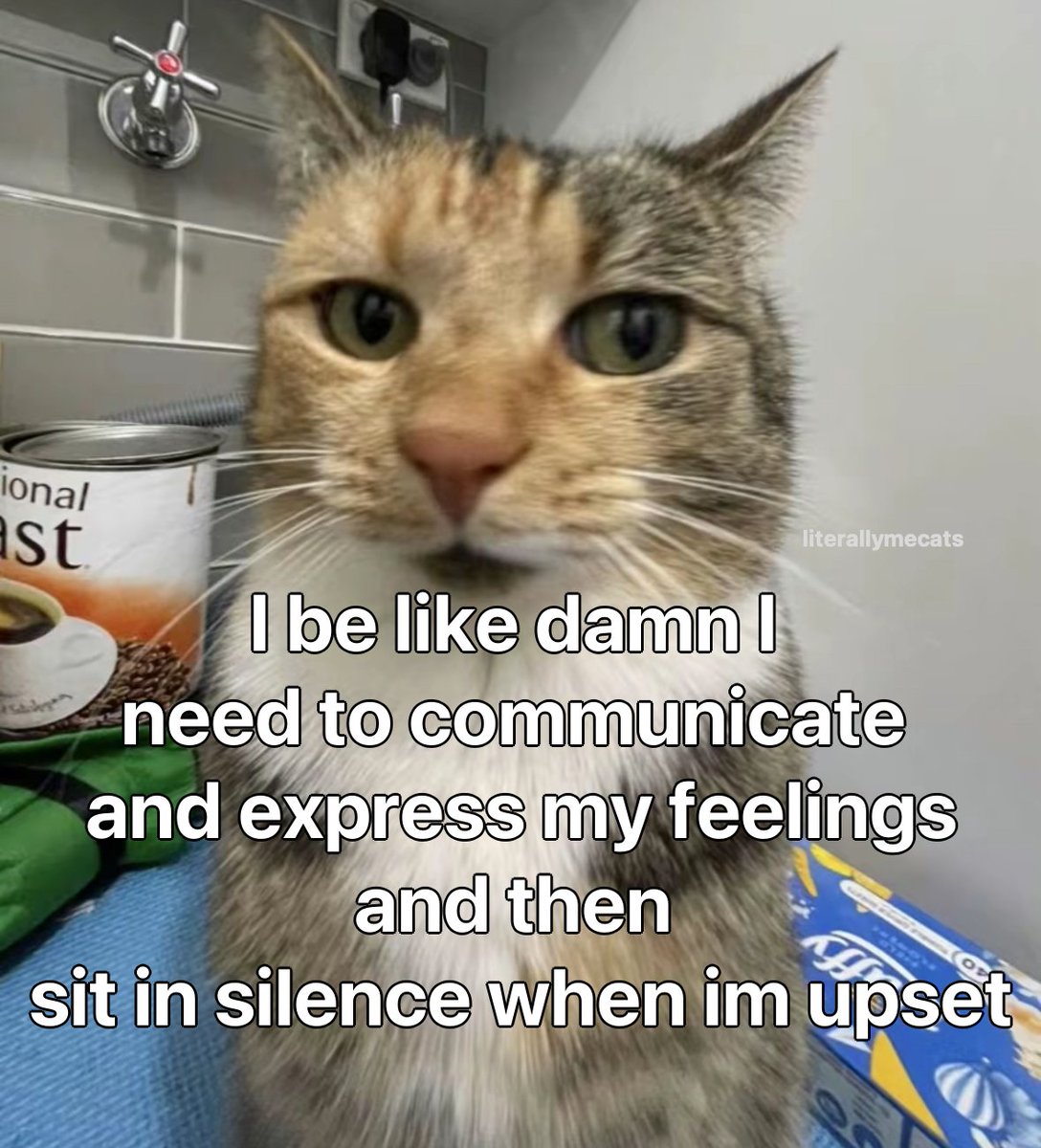 literallymecats's tweet photo. https://t.co/kTK68POBmG