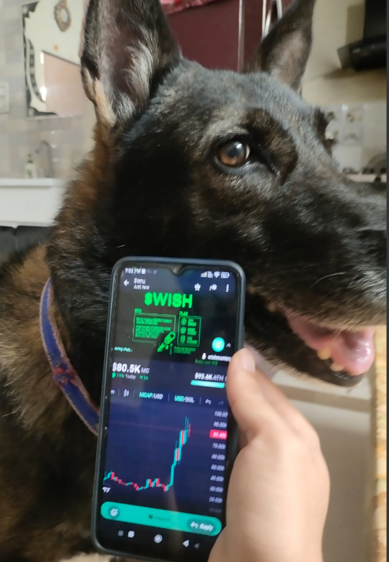 famemaker8966's tweet photo. Just a small wish from me and my dog 🐶 , send it higher

Any donation for my dog meal tonight 

5mtsUnNf6KWaZ2FKvRNpzGa8866Cfvy5D3a4Hx9iywBb 

@wishmasterpf https://t.co/aCmG5fotzr