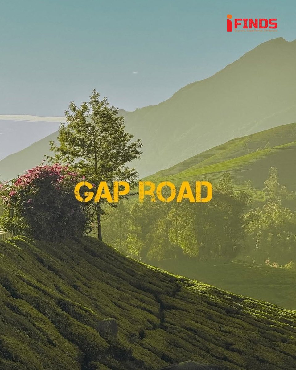 iFinds122911's tweet image. South Indian Kashmir- Munnar
.
.
#ifinds #munnar #kolukkumalai #vattavada #devikulam #kerelatourism #agoda #bikeriders #reiders #adventure #trekking #wanderer #wanderlust #cloudseeing #peacevibe #relax