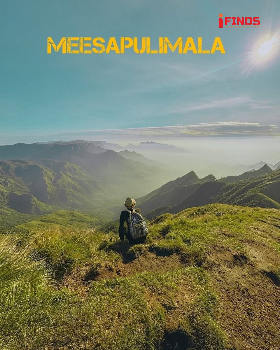 iFinds122911's tweet image. South Indian Kashmir- Munnar
.
.
#ifinds #munnar #kolukkumalai #vattavada #devikulam #kerelatourism #agoda #bikeriders #reiders #adventure #trekking #wanderer #wanderlust #cloudseeing #peacevibe #relax