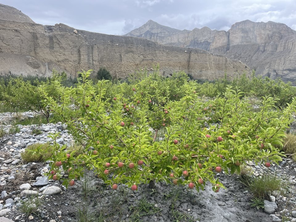 Saurav Dhakal tweet media