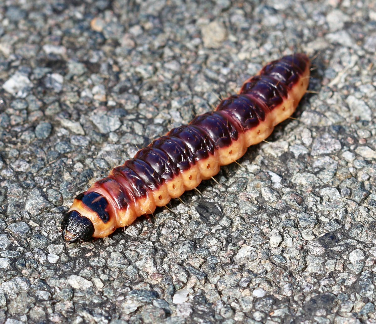 Martin Hey tweet media