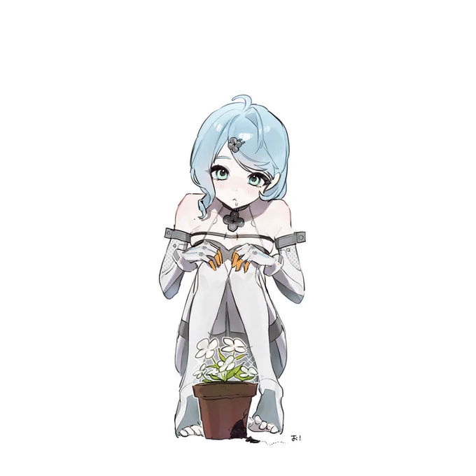 これはお気に入りのシード
