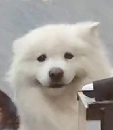 나의 초대코드：XGSP7BFA， <리버스: 1999> 2주년 특별 버전 정보 모음을 확인하여, 게임 실무 굿즈, 순결의 빗방울 등 다양한 보상을 획득하세요!reverse1999-h5.haoplay.com/event/ptadraw/…

트친들...🥹🥹🥹