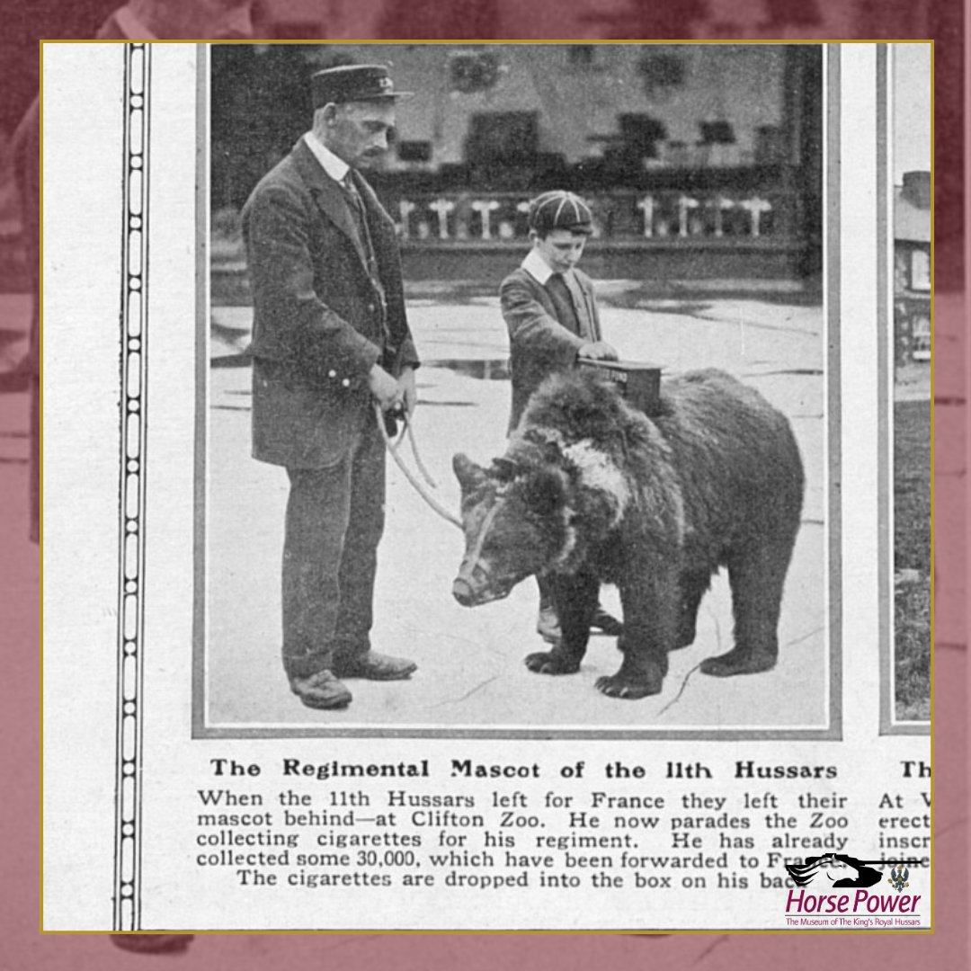 HorsePower Museum tweet media