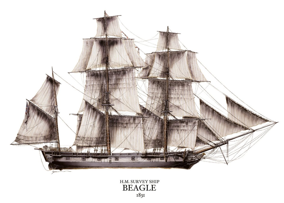 BritishHistorym's tweet image. #onthisday 15 September 1835 – HMS Beagle, with Charles Darwin aboard, reaches the Galápagos Islands. The ship lands at Chatham or San Cristobal, the easternmost of the archipelago.

#britishhistory #charlesdarwin #onthisdayinhistory