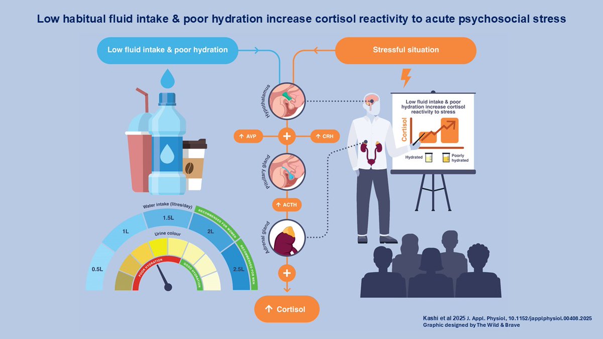 Neil Peter Walsh tweet media
