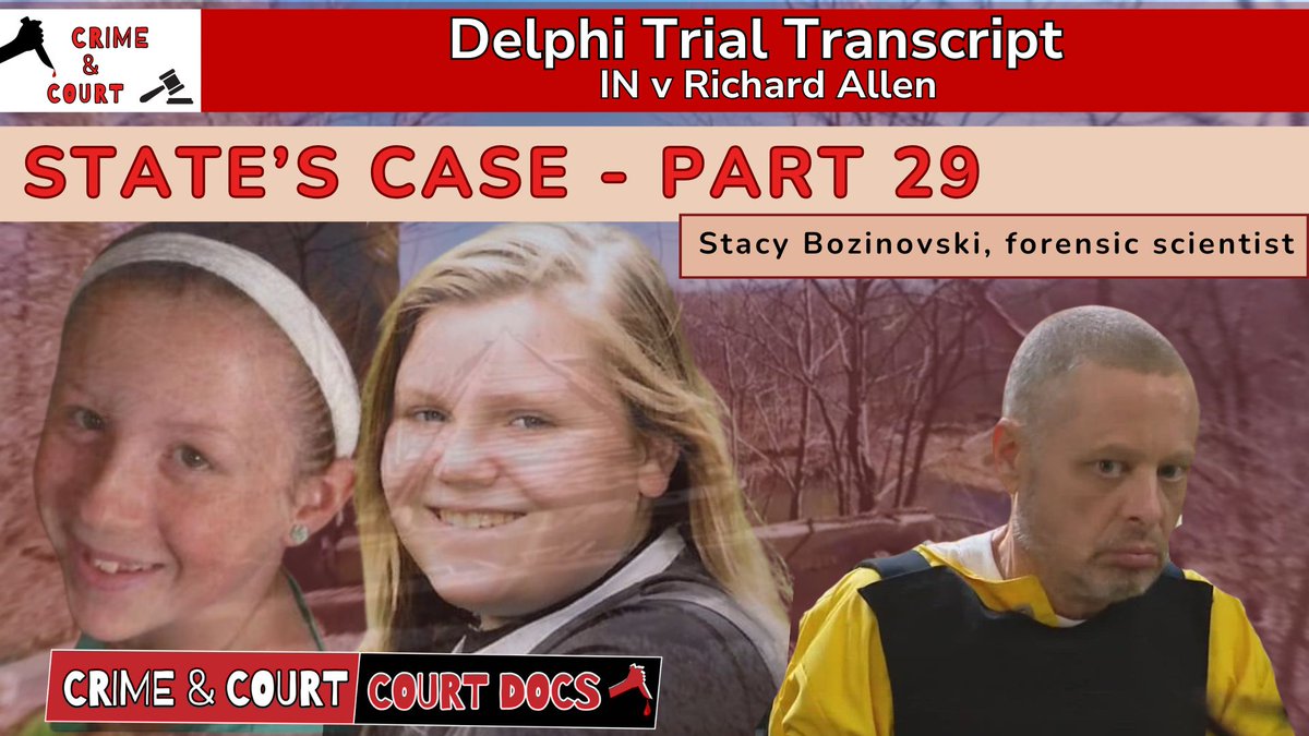 State’s Case - Part 29: Stacy Bozinovski, forensic scientist #DelphiTranscripts

youtu.be/HTIWRkNJsXY

#richardallen #freerichardallen #delphimurders #delphitrial