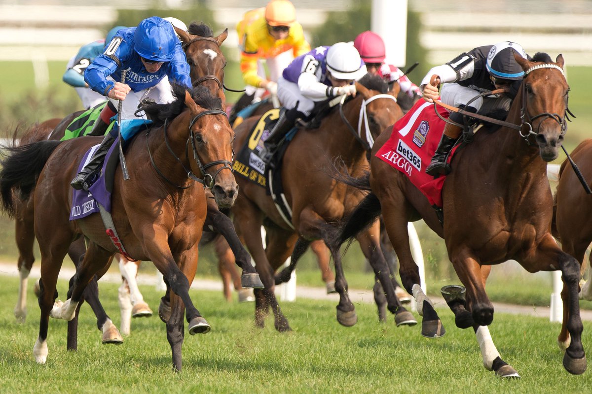 Argos' late push, Corsia Veloce's 🔥 streak, and more from an incredible Turf Champions Day at Woodbine.

Inside Track ➡️ woodbine.com/woodbine-news/…