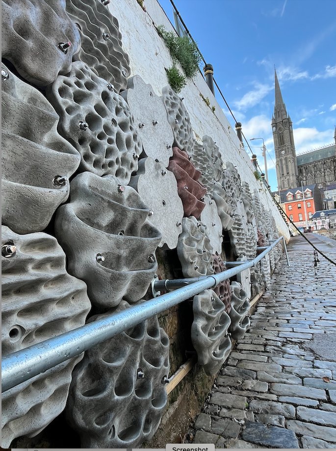 Louise Firth tweet media