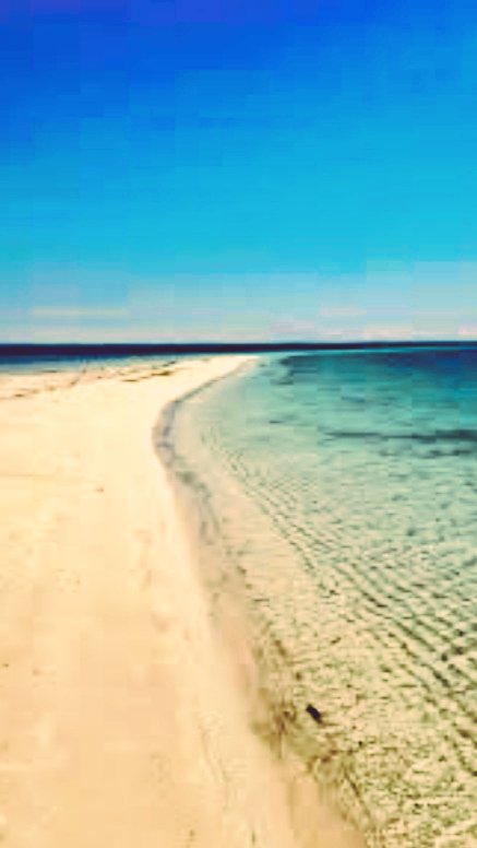 A8Bx9s's tweet photo. 🌊 مبادرة تنظيف شاطئ الرايس 🌊
معًا نحافظ على جمال شاطئنا ونمنح الأجيال القادمة بيئة نقية وآمنة.
ضع مخلفـاتك في مكانها ✨ وكن شريكًا في صناعة التغيير.

#بيئتنا_مسؤوليتنا
#شاطئ_الرايس https://t.co/d94wHVhcLM