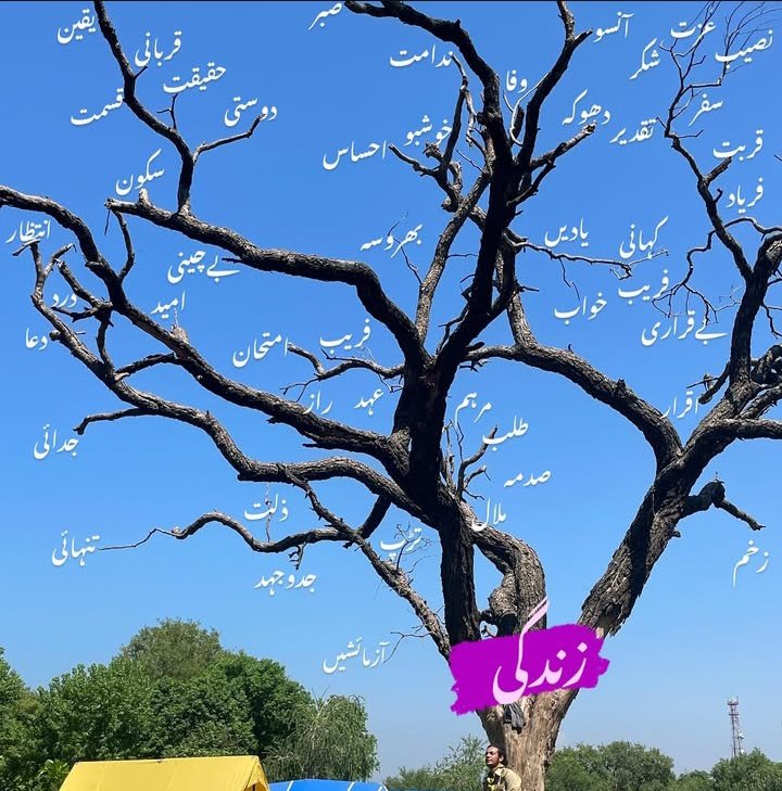 Eccedentesiast (@warishaaa_00) on Twitter photo 