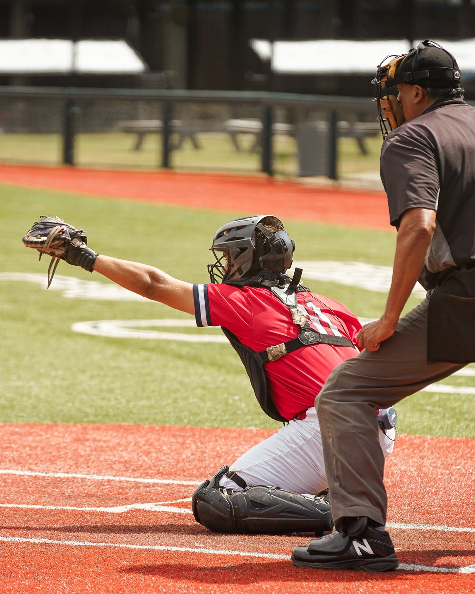 Palmetto Blacksmiths Baseball tweet media