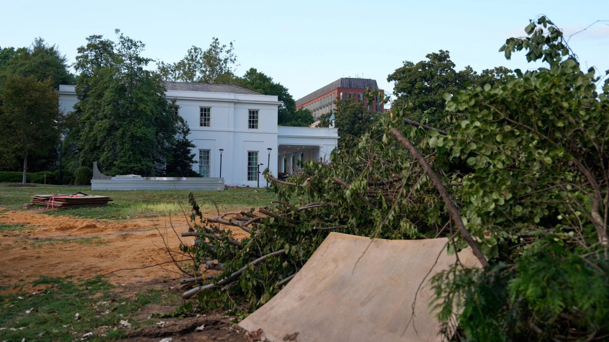 Trees being cut down now at the White House to make room for Trump’s $200 million ballroom.