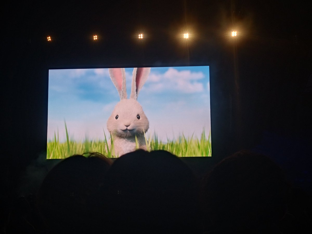 ミセス大余韻なのに6時間このうさぎ見てたから今夜こいつの夢見る予感。ww

#ロッキン