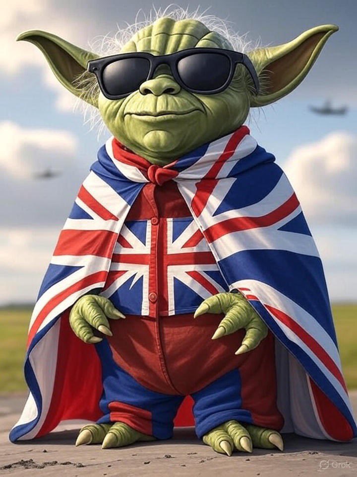 The Real Yoda tweet media