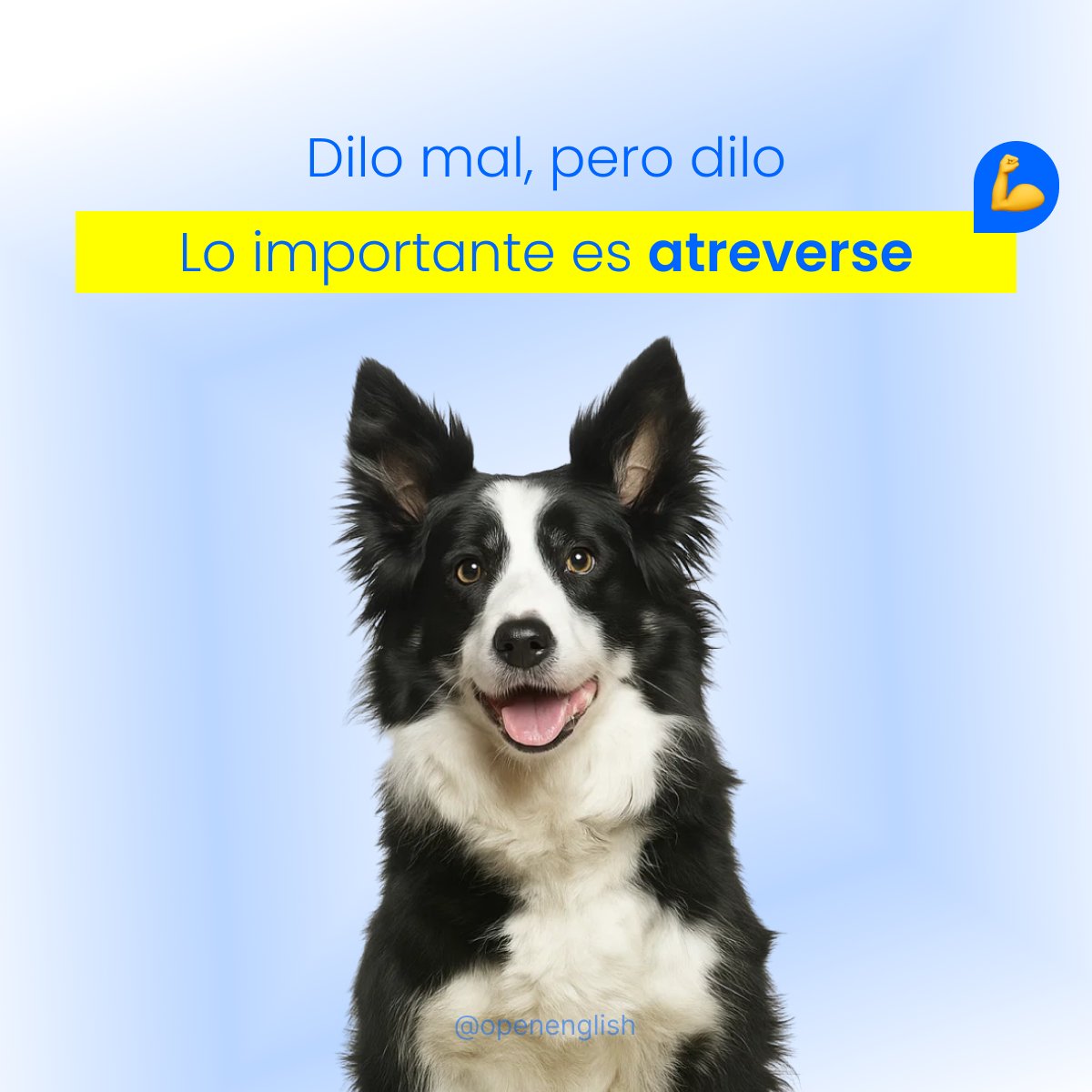 💪 No se trata de que salga perfecto, se trata de atreverse.
Cada palabra dicha es un paso más.
No pares ahora, lo estás logrando. ✨
#AprenderInglés #SigueAvanzando #OpenEnglish