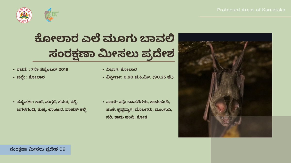 aranya_kfd's tweet photo. ಕರ್ನಾಟಕದ ಕೋಲಾರ ಎಲೆಮೊಗಿನ ಬಾವಲಿ ಸಂರಕ್ಷಣಾ ಮೀಸಲು ಪ್ರದೇಶದ ಸಂಕ್ಷಿಪ್ತ ಪರಿಚಯ ಇಲ್ಲಿದೆ.

Here's a brief introduction to Kolar Leaf-nosed Bat Conservation Reserve.

#KFDPAseries #ProtectedAreas #Karnataka #Bat #Conservationreserve #Kolar https://t.co/gbzeVw9mAm