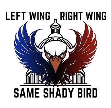 People fall for the same psyops every time. Left vs Right is nothing but theater… two wings of the same shady bird. If they give you time on the world stage, you’re already in the club. No exceptions. The puppet masters are not fighting each other, they’re working together to